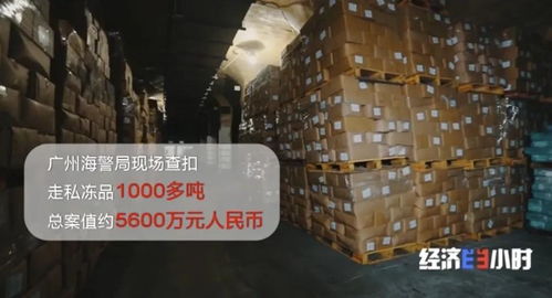 海关重拳出击 查获走私冻品4.9万吨，部分竟源自非洲猪瘟高发疫区，国内贸易代理敲响安全警钟